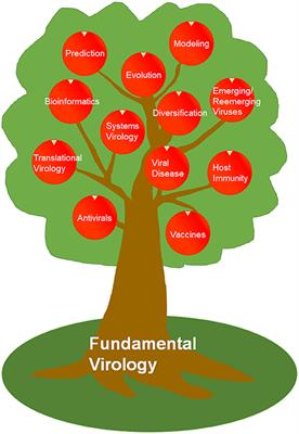 Fundamental Virology: Curiosity-Oriented Basic Virus Research